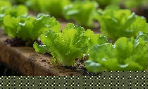新2会员手机管理端 - 官方版：菠菜排名网(知名菠菜) (2)