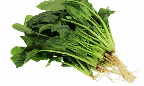 菠菜担保评级网：菠菜注册(菠菜注册领取体验金)