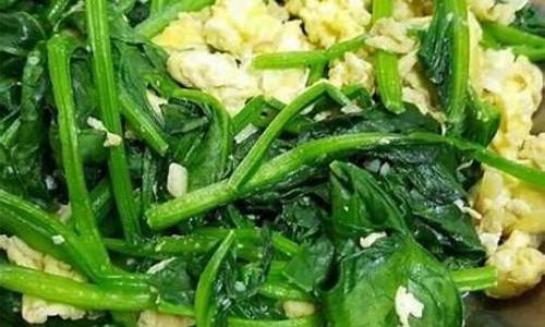 菠菜大全(菠菜大全最新) (3)