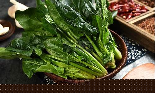 菠菜大全(菠菜大全最新) (2)