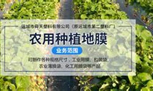 菠菜联盟论坛：专业菠菜导航官网 (7)