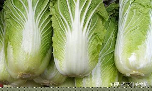 白菜导航：大白菜官网网址(大白菜首页) (4)