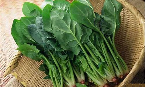 菠菜网平台大全：线上菠菜入口(菠菜是哪个国家入口)
