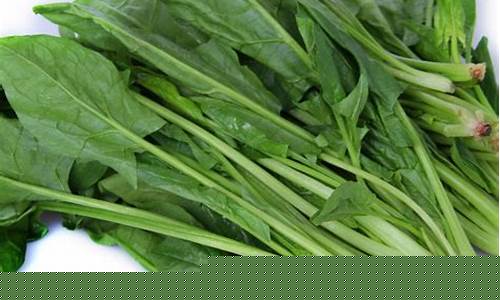 菠菜信息大全(菠菜资讯站)