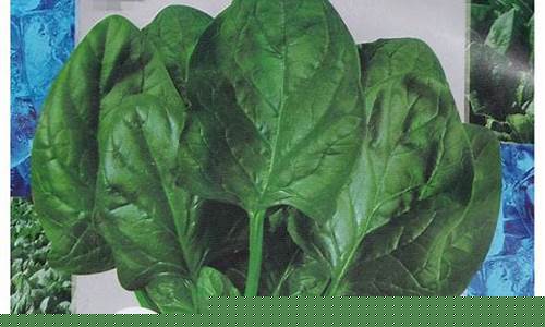 线上国际菠菜(菠菜国际游戏) (2)